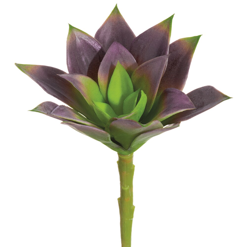 Allstate 6" Purple and Green Soft Echeveria Artificial Floral Pick