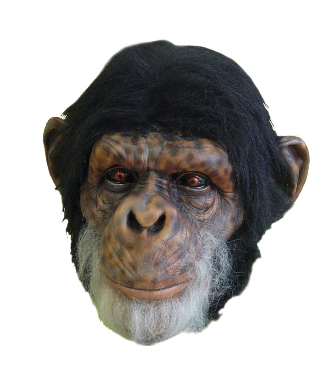 The Costume Center Black and White Chimp Halloween Mask Unisex Costume Accessory