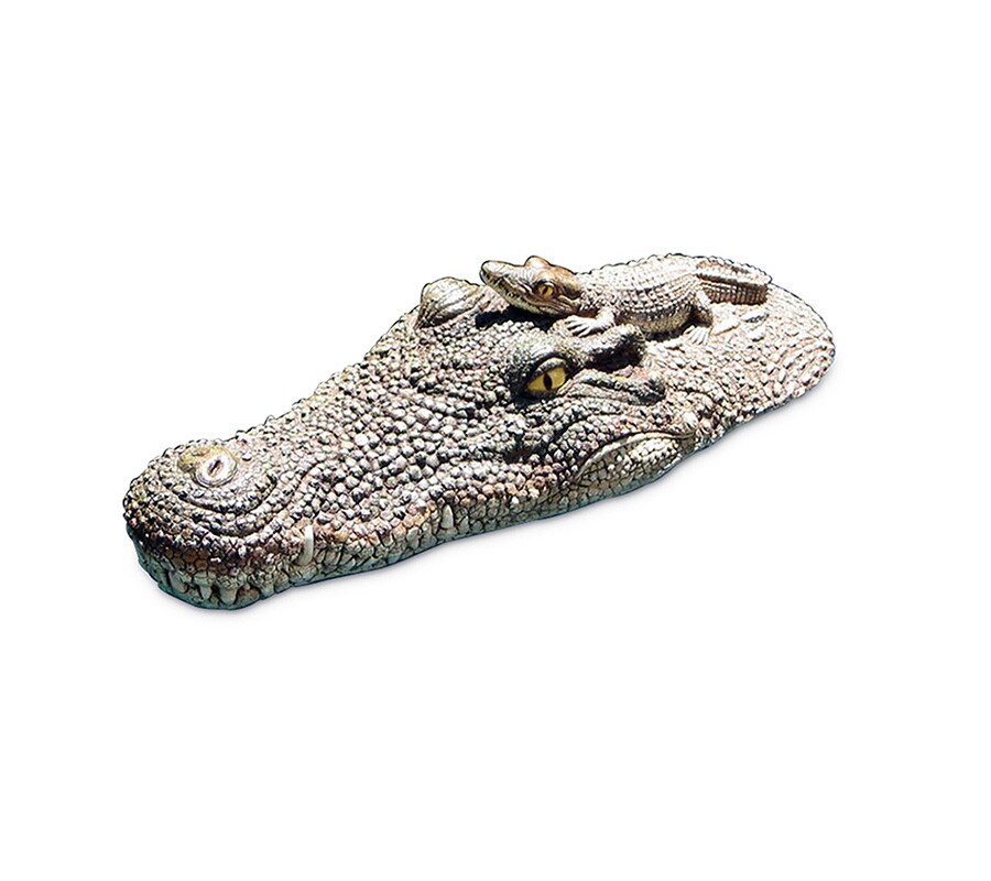 Swim Central 20.5&#x22; Crocodile Head Floating Pool, Spa or Patio Decorative Reptile Figure