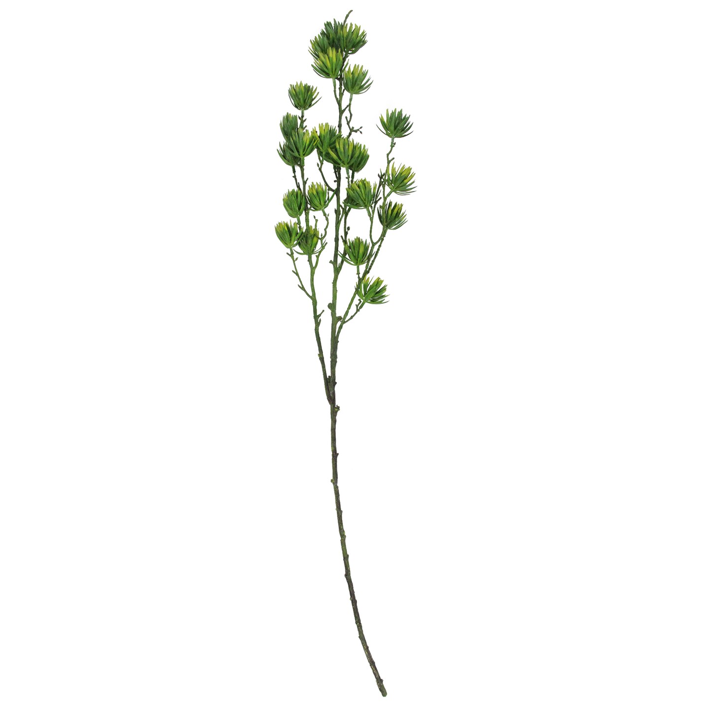 Select Artificials 37&#x22; Green Artificial Desert Protea Blooming Floral Spray