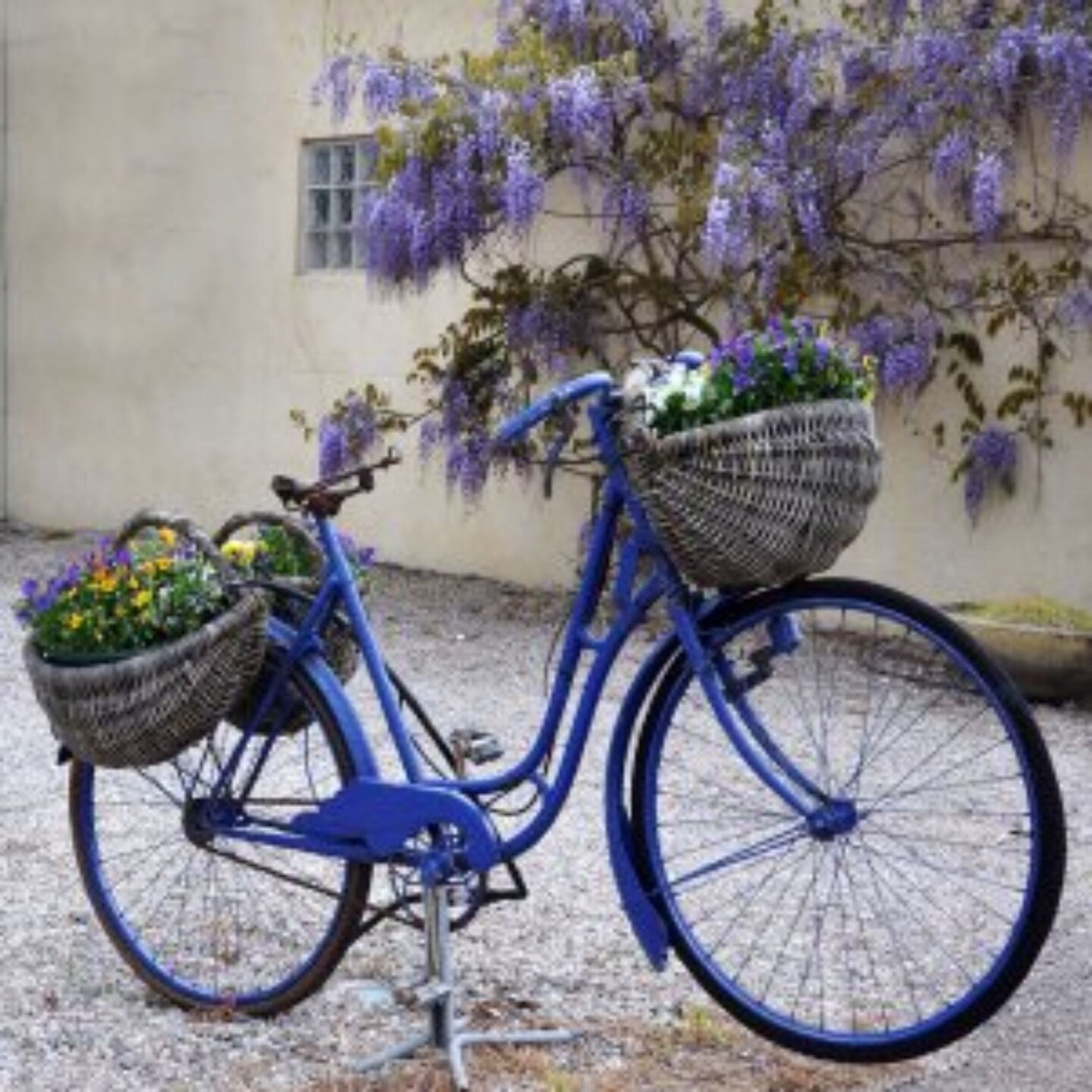 Outdoor Living and Style Purple and Blue Bike with Bouquets Canvas Outdoor Square Wall Art Decor 24&#x22; x 24&#x22;
