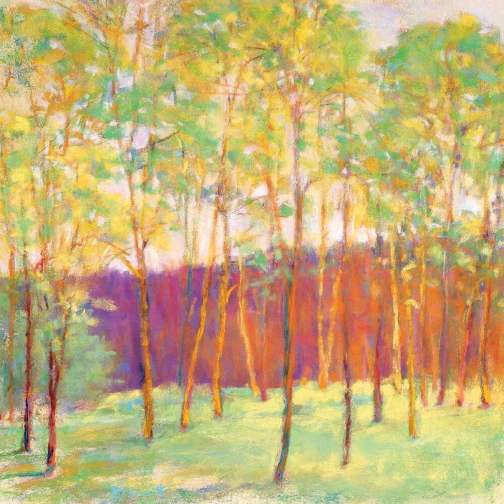 Peach Light Poster Print by Ken Elliott - Item # VARPDXKE113U