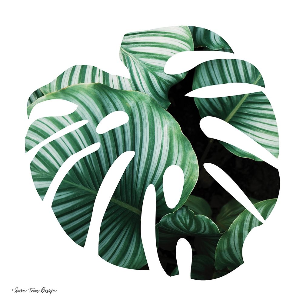 Leaves Leaf Poster Print by Seven Trees Design Seven Trees Design - Item # VARPDXST498