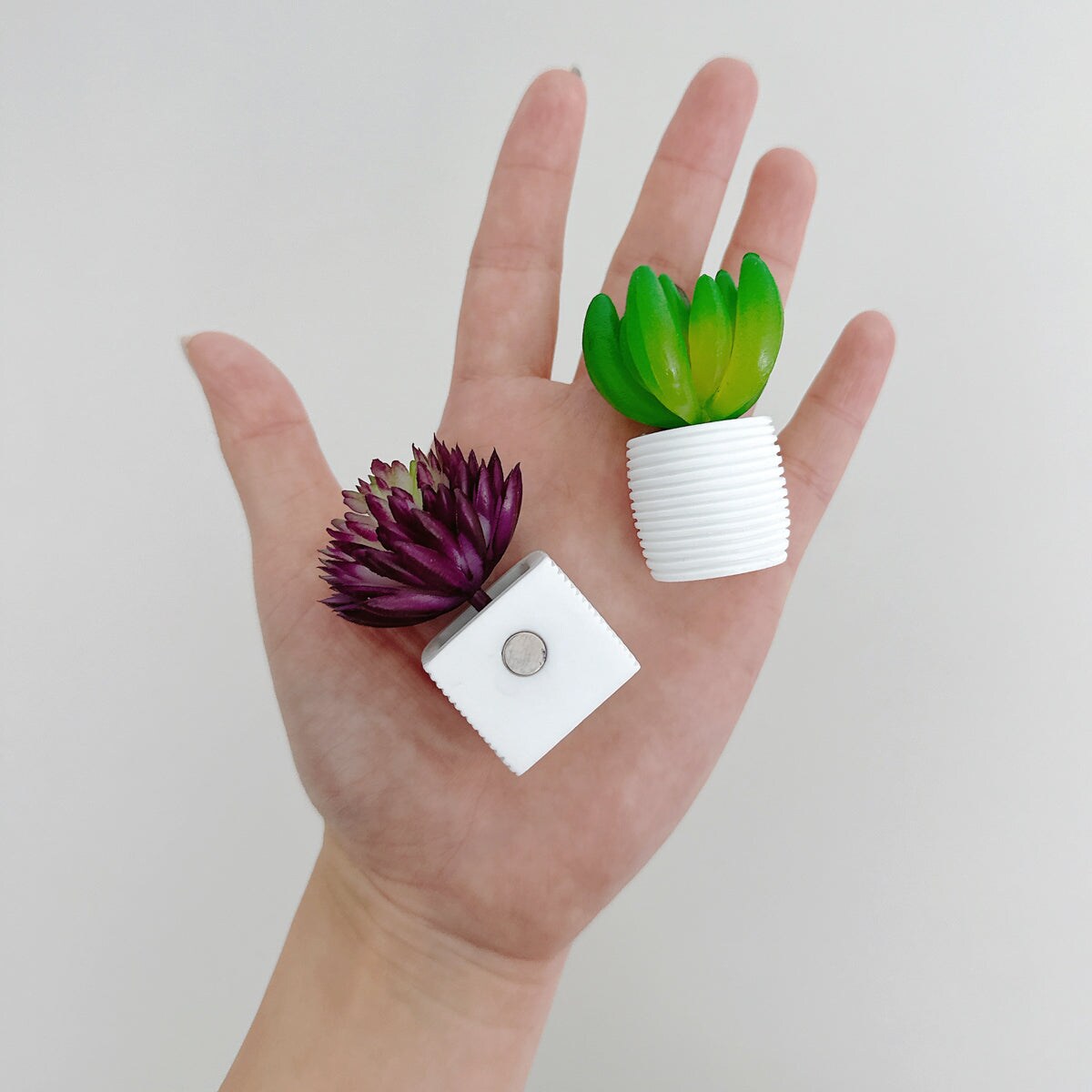 Wrapables 3D Resin Fridge Magnets, Food Simulation, Succulents, Famous Faces Refrigerator Magnets for Kitchen (Set of 5)