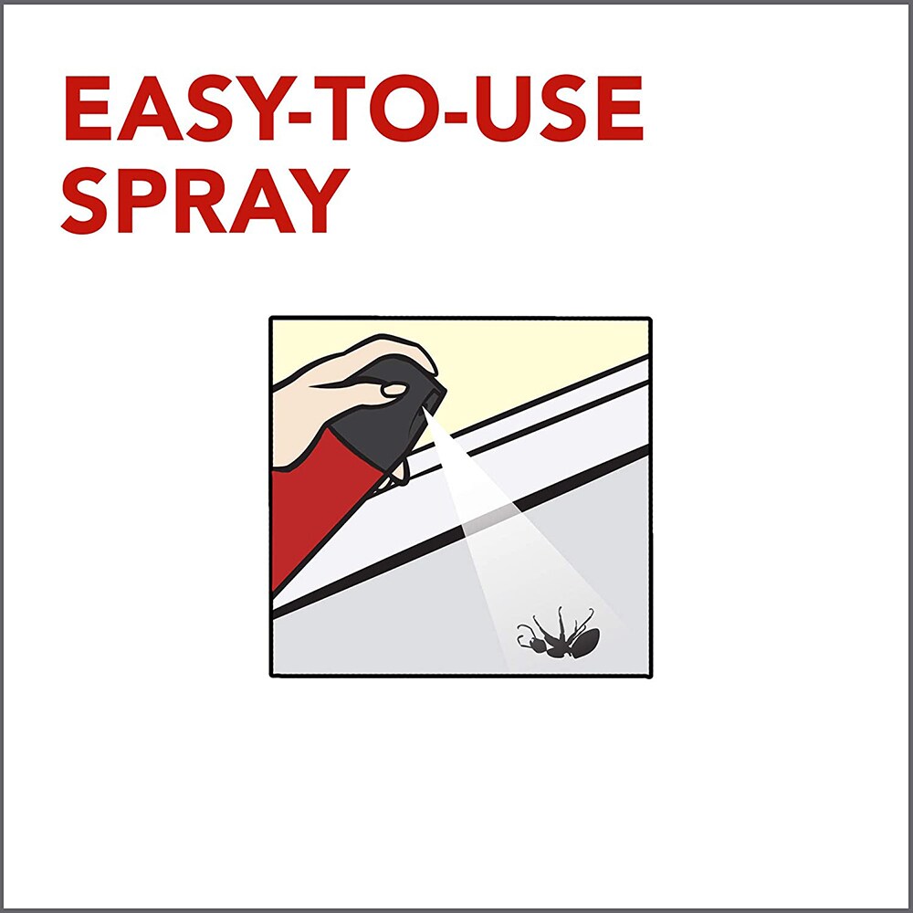 Raid   Ant Roach and Earwig Insect Killer 2 350 gram