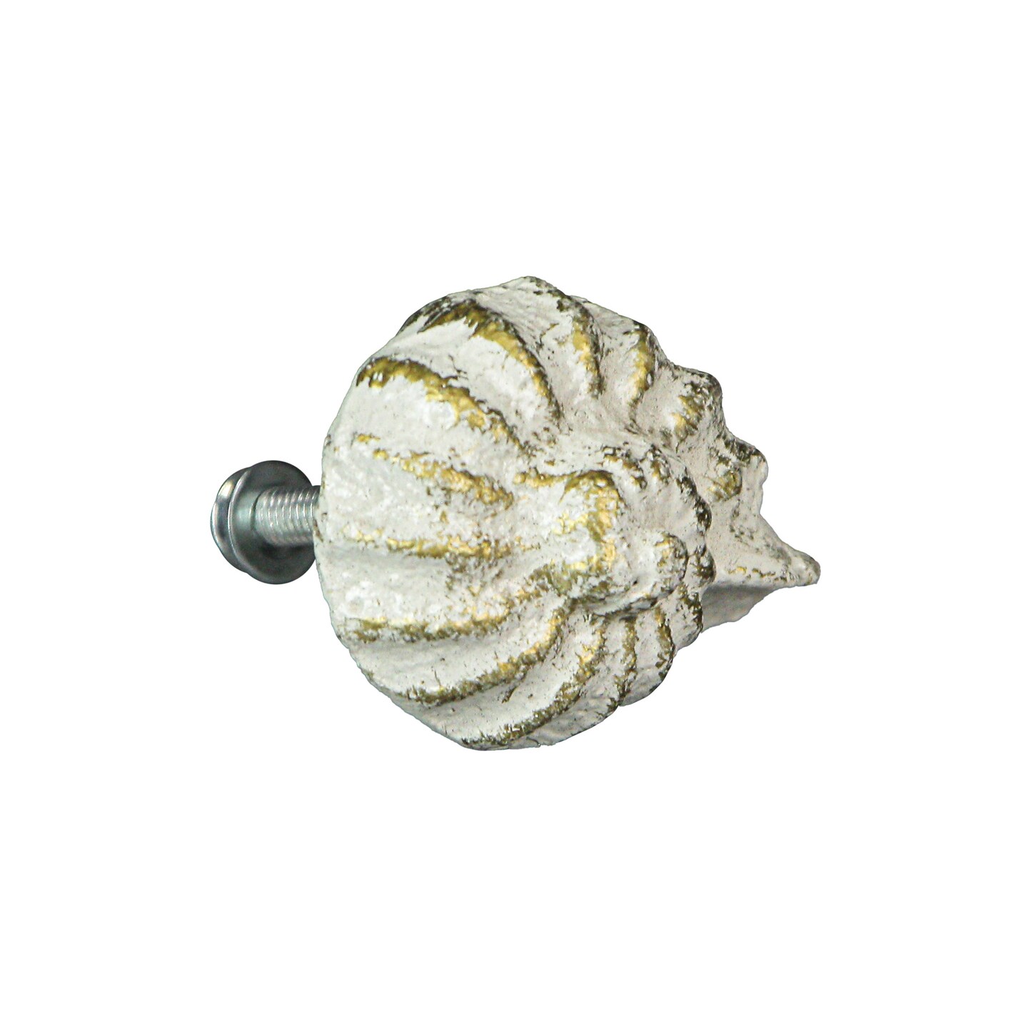 Cast Iron Nautilus Shell Drawer Pull Decorative Cabinet Knob Nautical Set of 6