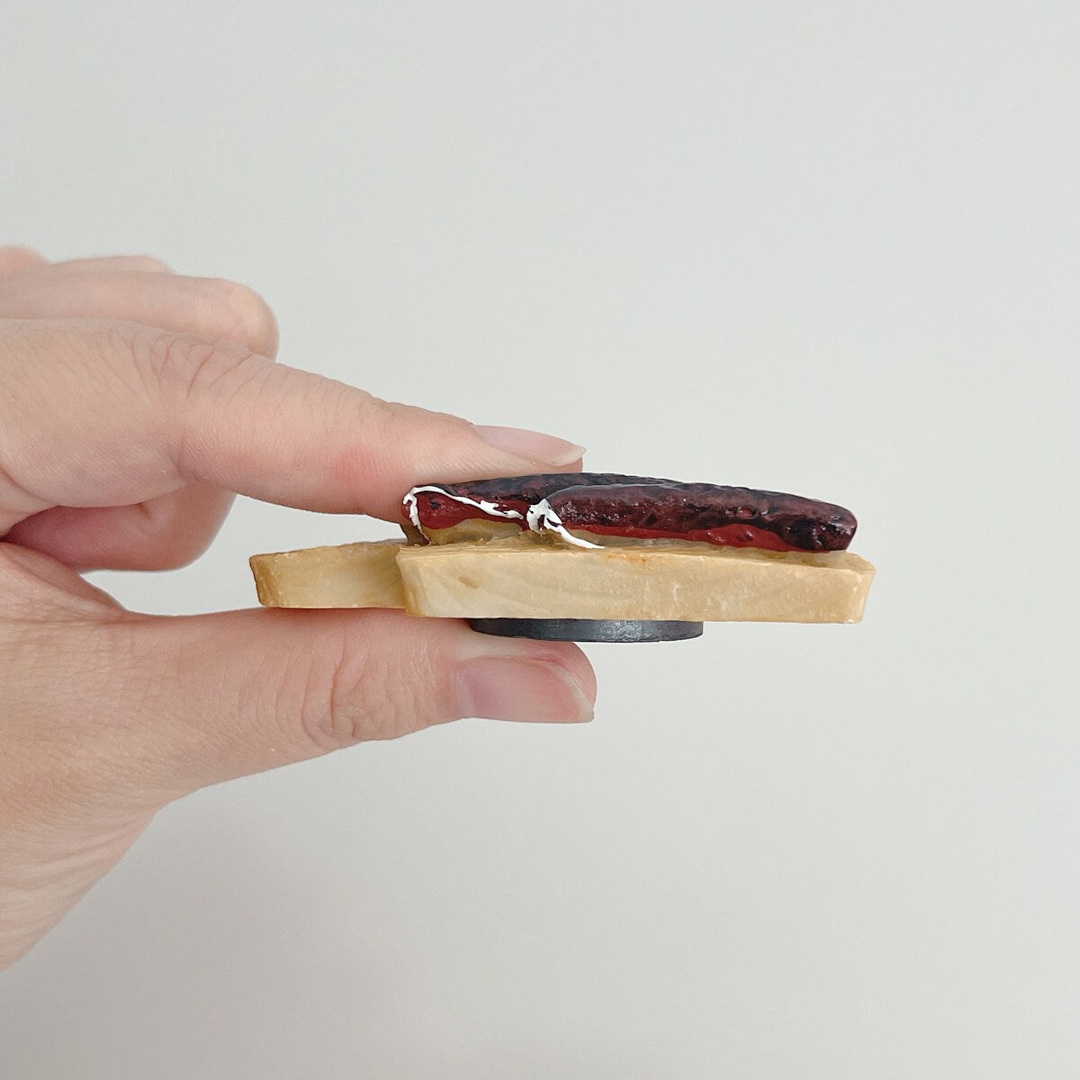 Wrapables 3D Resin Fridge Magnets, Food Simulation, Succulents, Famous Faces Refrigerator Magnets for Kitchen (Set of 5)