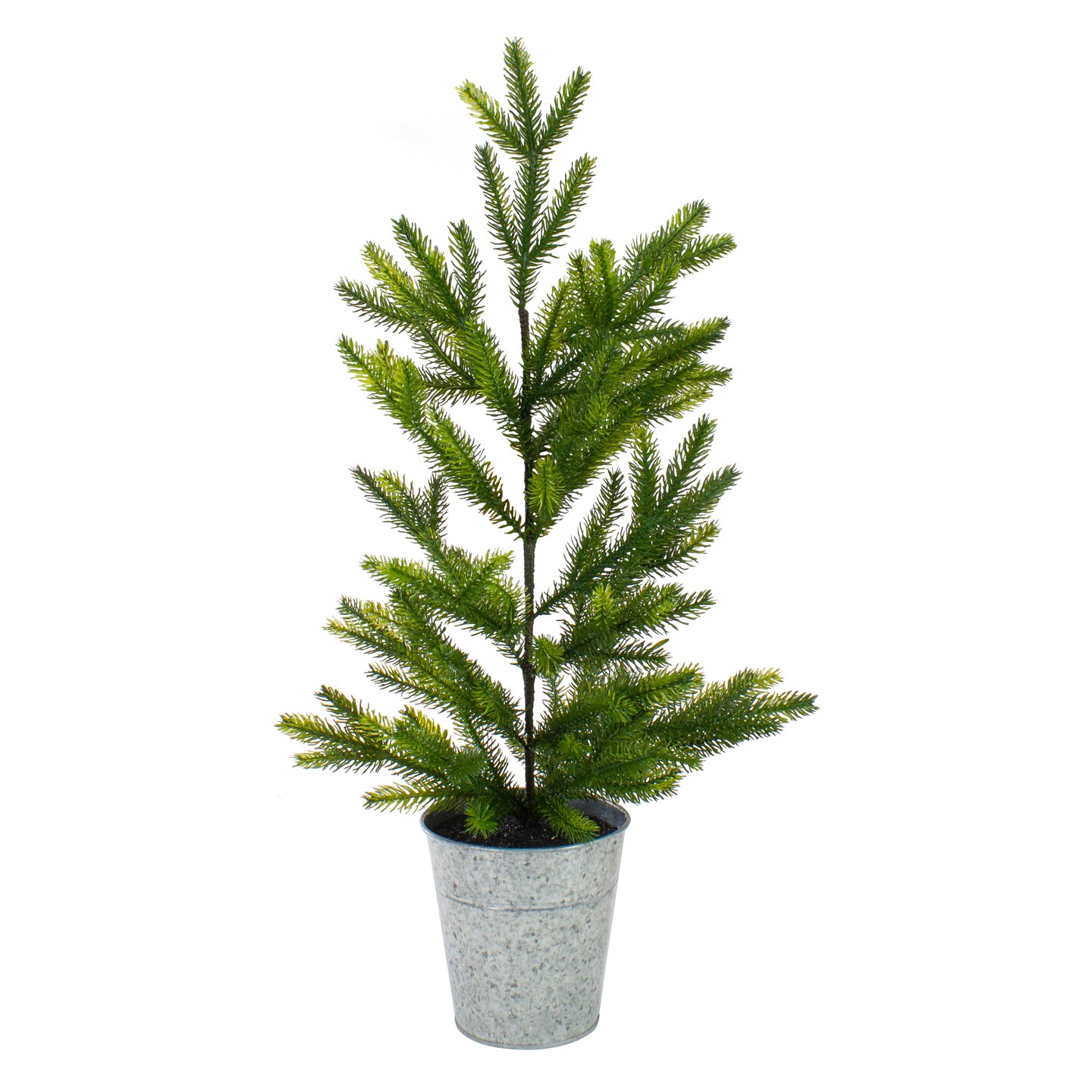 Northlight 2&#x27; Potted Pine Medium Artificial Christmas Tree &#x2013; Unlit