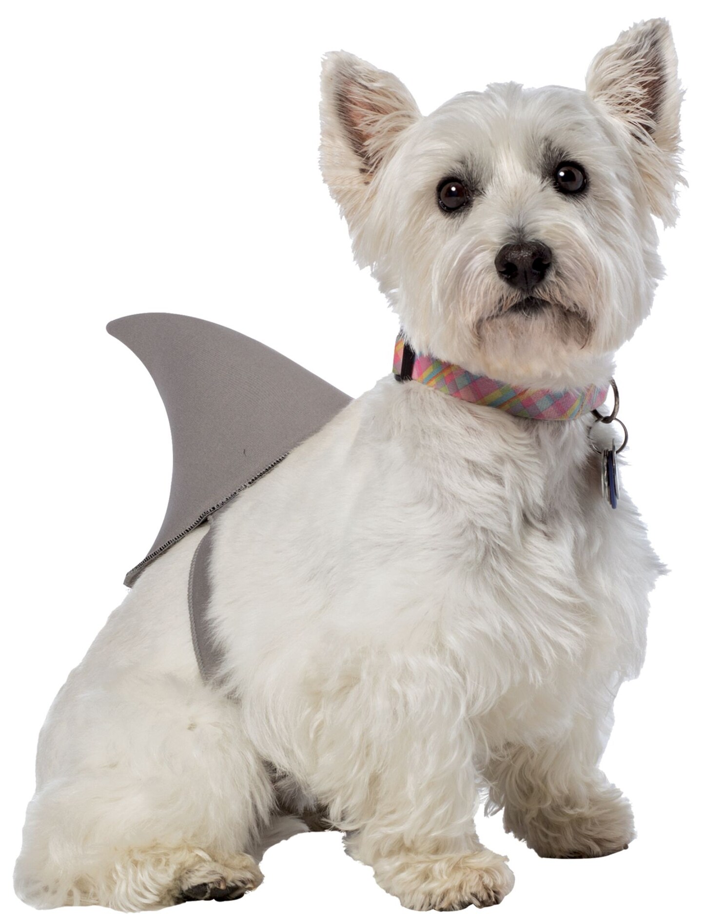 The Costume Center Gray Shark Dorsal Fin Halloween Pet Costume - Small