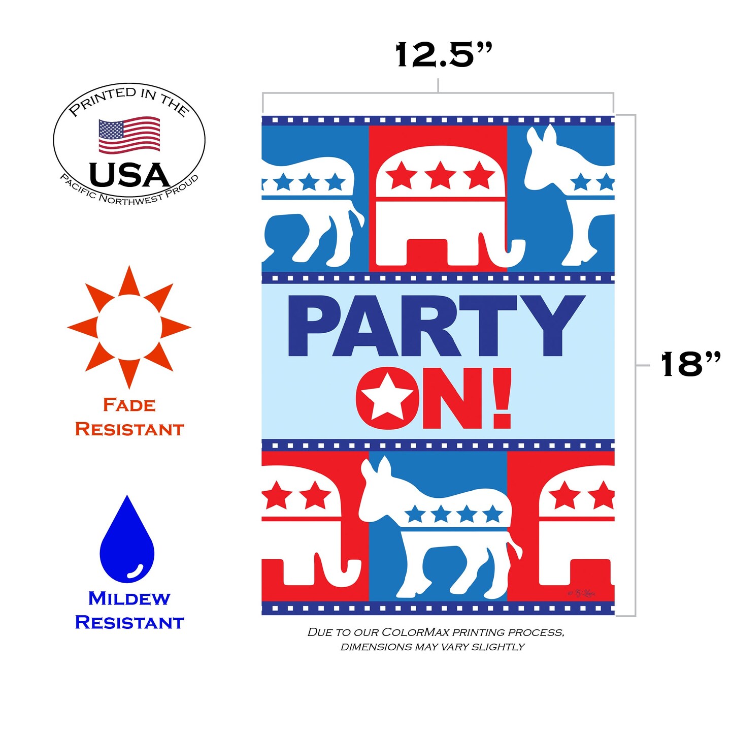 Party On Decorative Political Flag