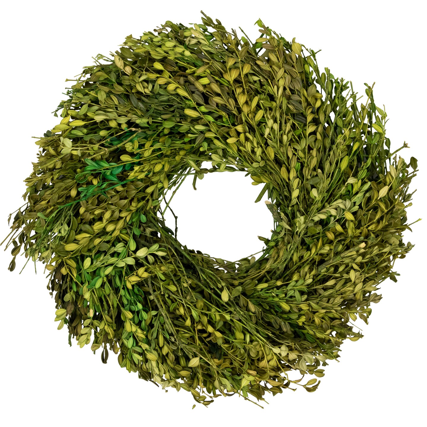 Northlight Green Foliage Artificial Spring Wreath - 15" - Unlit