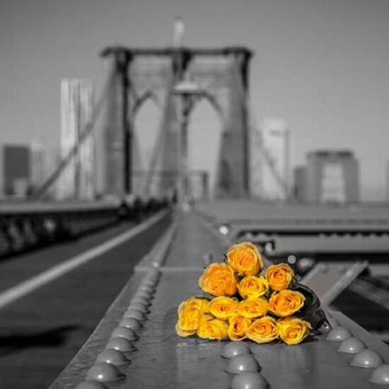 Bunch of roses on Brooklyn Bridge, New York Poster Print by Assaf Frank - Item # VARPDXAF20131116455C02