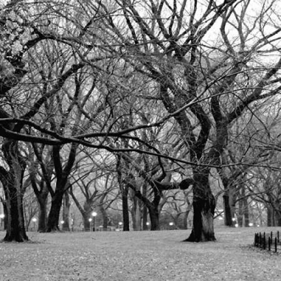 Central Park 2B Poster Print by Jace Grey # JPISQ001B