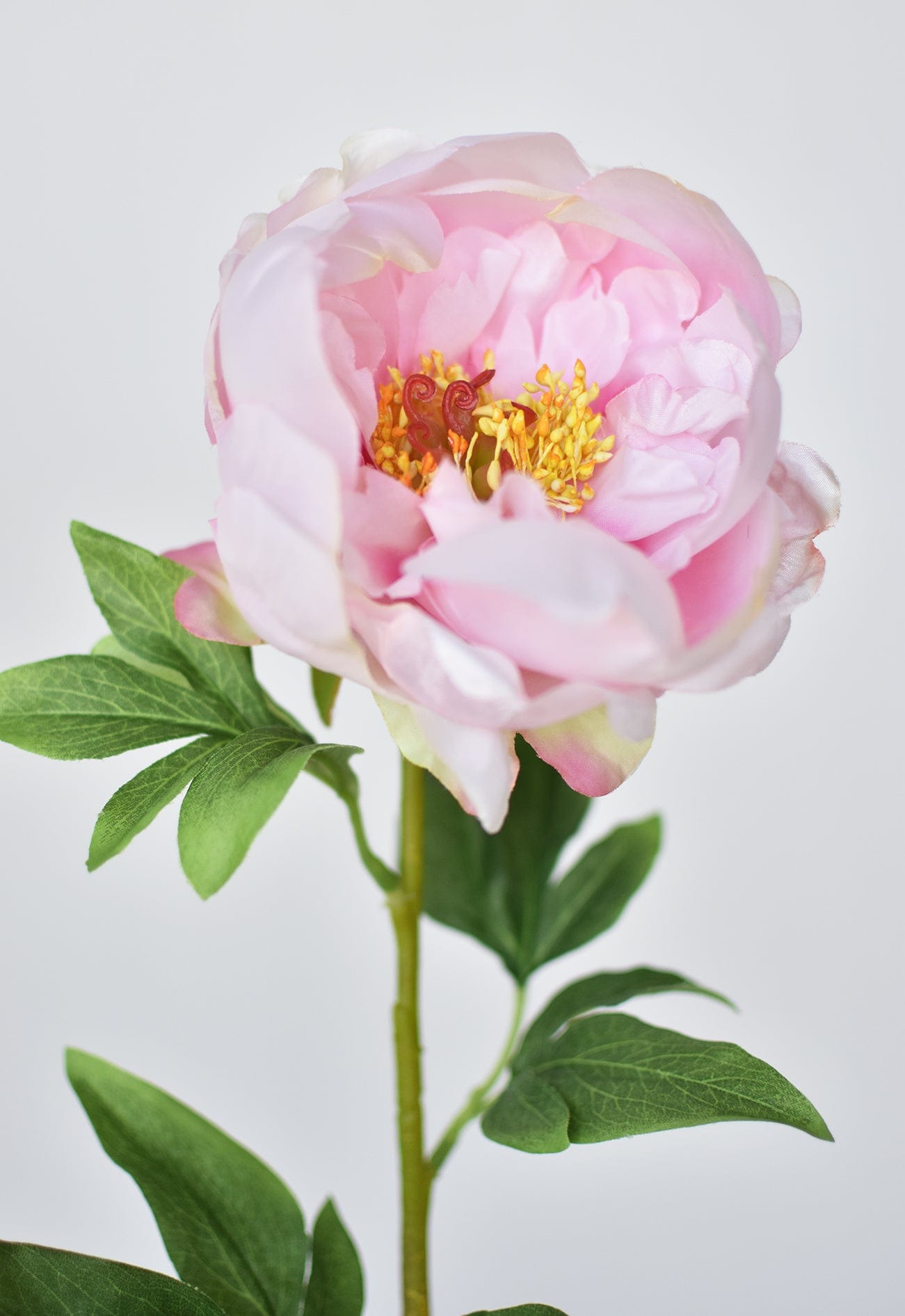 22&#x22; Faux Pink Peony Stem