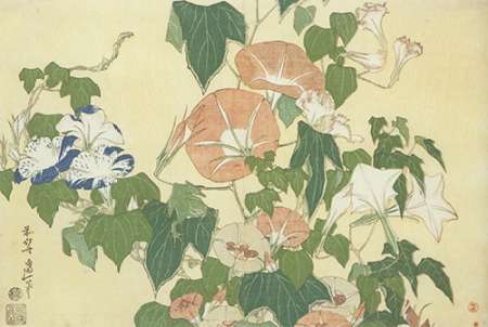 Convolvulus And Tree Frog Poster Print by Hokusai - Item # VARPDX373129