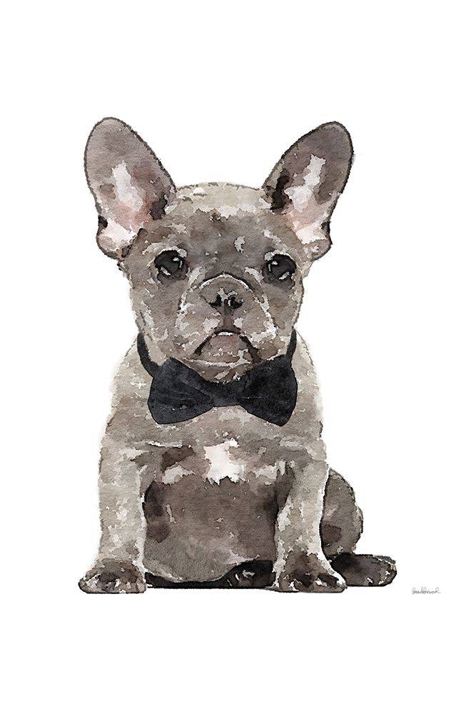 Frenchie IV Poster Print by Amanda Greenwood # AGD116454