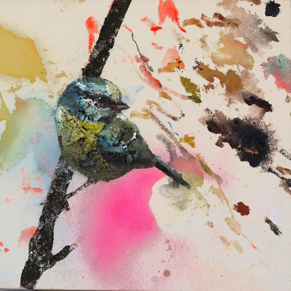 Blue Western Tanager Poster Print by Daniel St Amant # IE045A