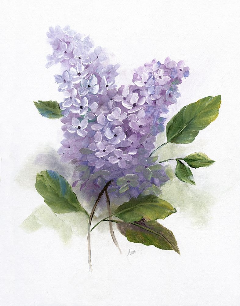 Lilac Romance II Poster Print by Nan Nan # 43374