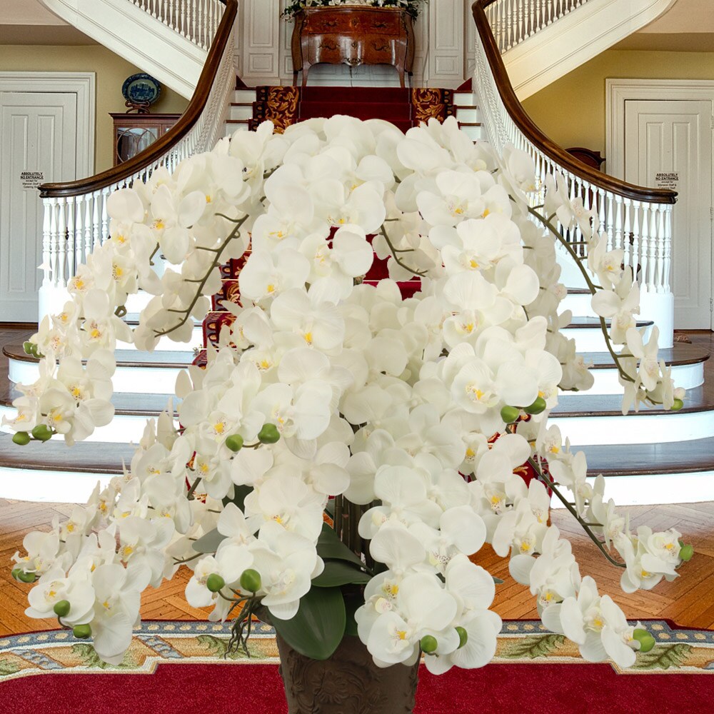 6-Pack: Massive White Phalaenopsis Orchid Stem, Floral Home by Artificial Flowers