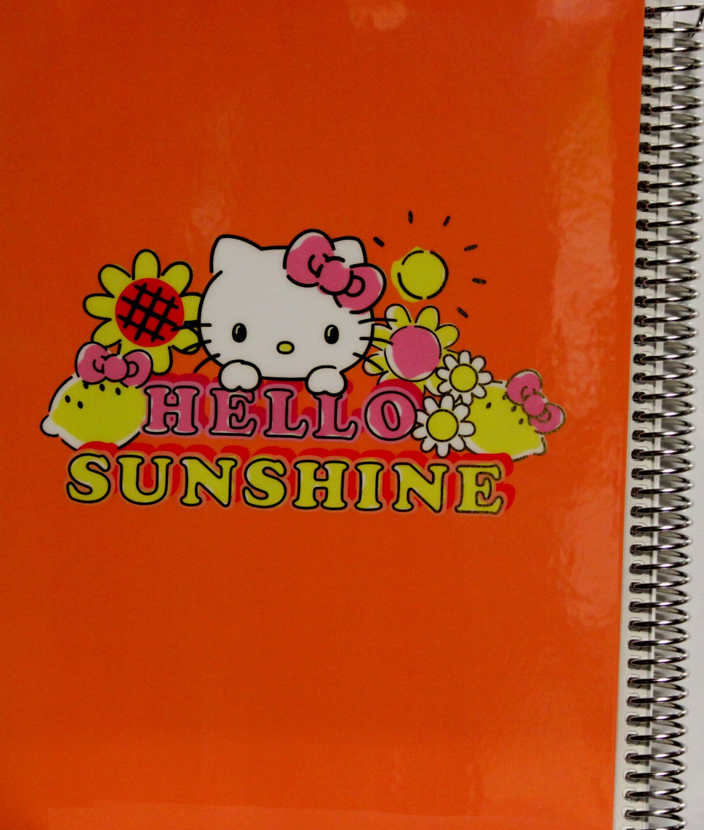 Hello Kitty Hello Sunshine Sketchbook