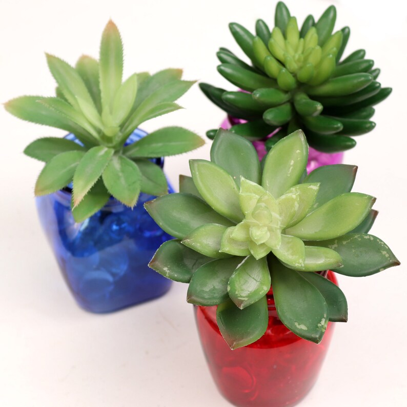 Stylish Hassle-Free 5.5" Artificial Succulent Sedum Plant - Chic Home Decor, Floral Home by Artificial Flowers