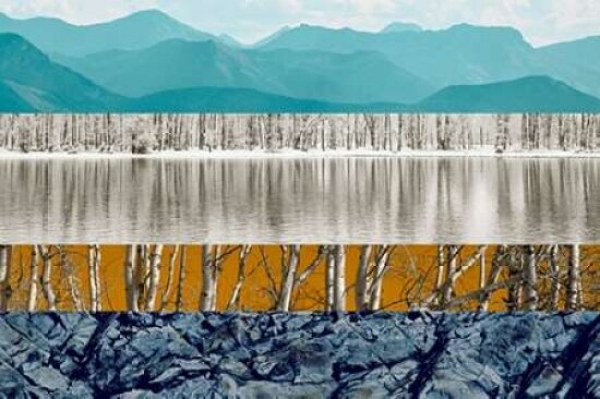 Nature Collage II Poster Print by PI Studio