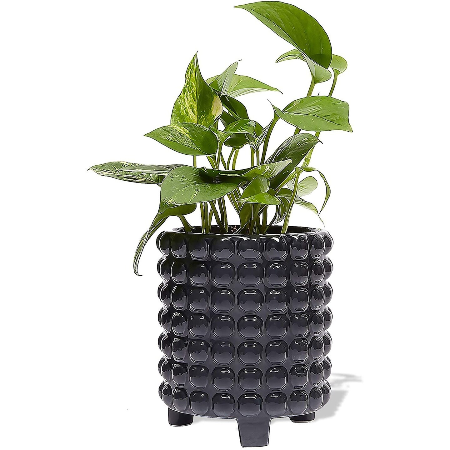 Hobnail Vase Ceramic Planter, Dark Gray Flower Pot, 5 Inch Inside Diameter