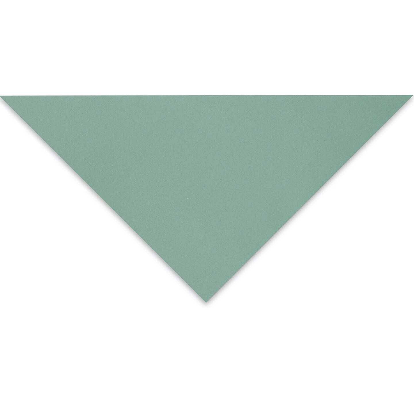 Clairefontaine Pastelmat Sheet 271/2" x 391/2", Light Green, 1
