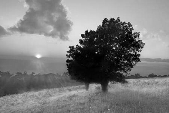 Spitler Knoll Overlook Poster Print by  Winthrope Hiers - Item # VARPDXH1219D