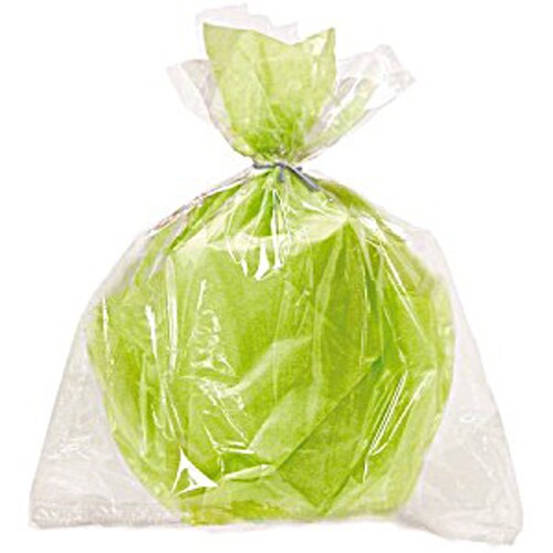 Labeol 300pcs Clear Cellophane Bags with Ties - Various India | Ubuy
