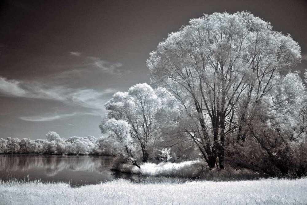 And Quiet Poster Print by Ily Szilagyi - Item # VARPDXPOD5886