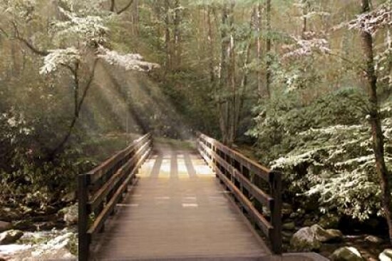 Footbridge Poster Print by Nan - Item # VARPDX15290