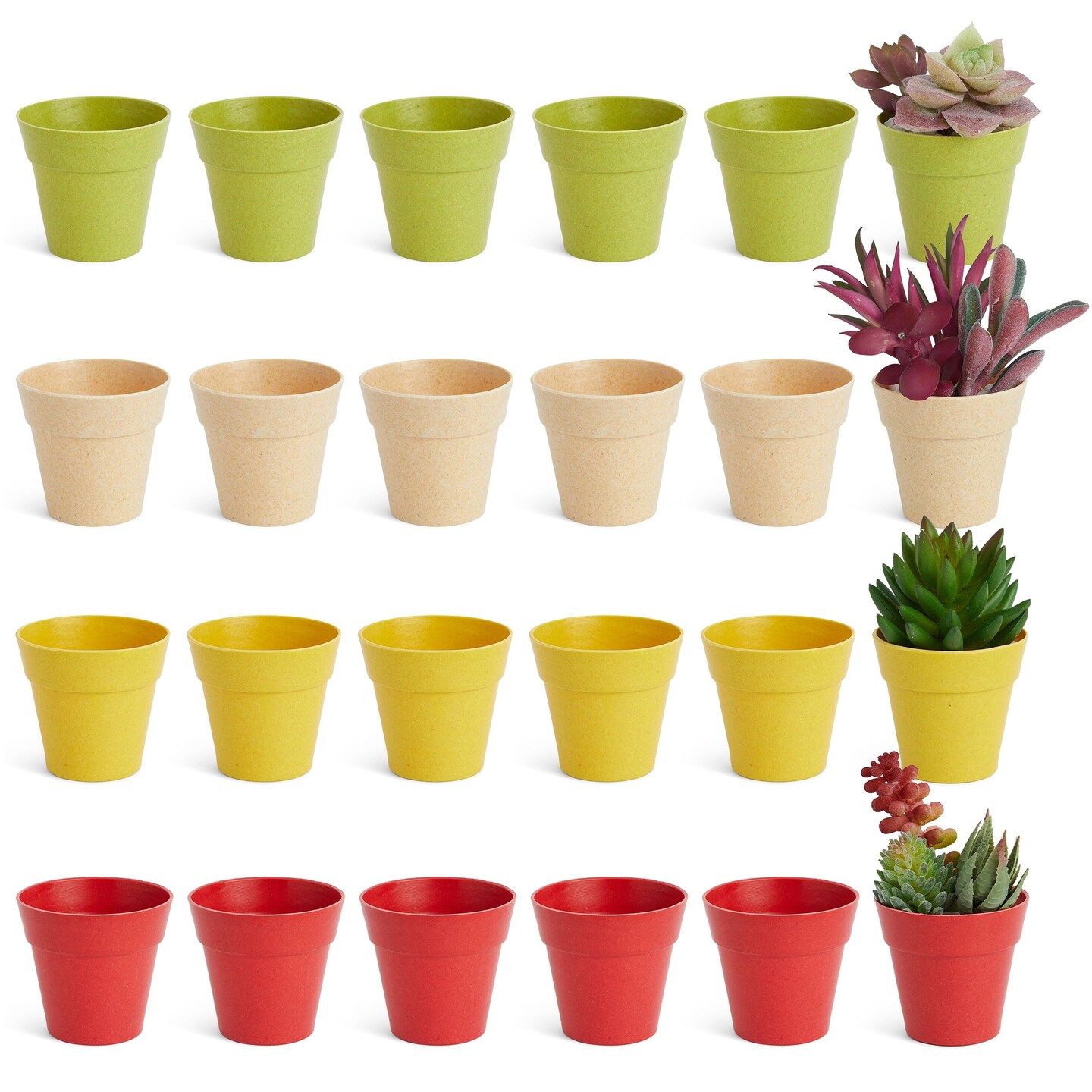 24 Pack Tiny Plastic Pots for Plants 1.5 Inch, Mini Planters for Flowers, Succulents (4 Colors)