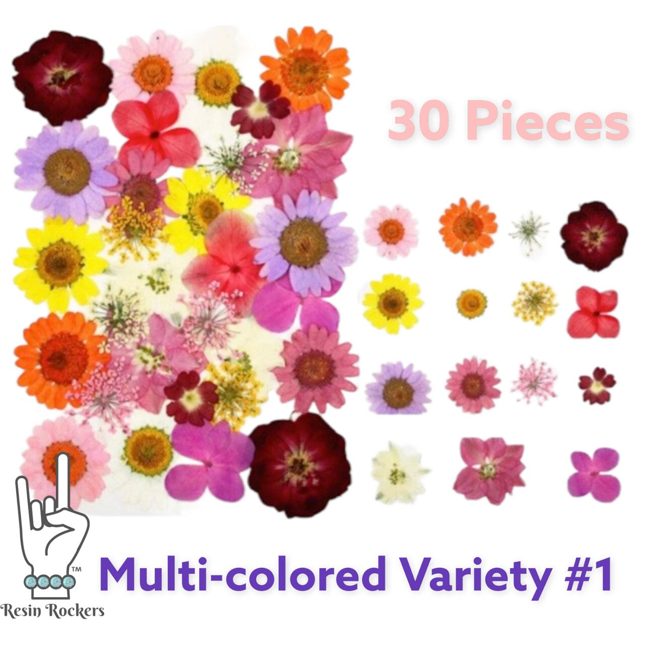 30 Piece Multicolored Variety Dried Pressed Real Natural Flowers For Epoxy & UV Resin Art