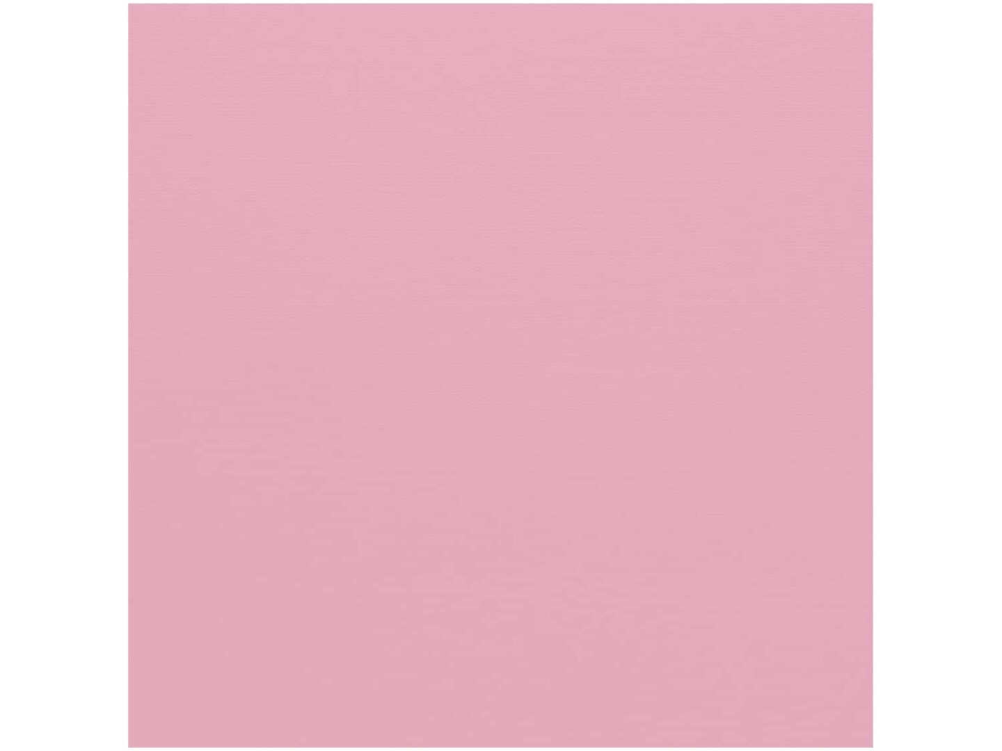 Bazzill Cardstock - 12 x 12 in. - Canvas Petalsoft
