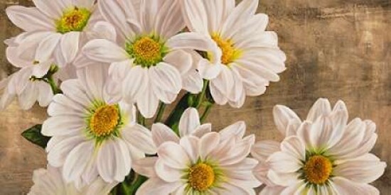 Daisies in the Moonlight Poster Print by  Jenny Thomlinson - Item # VARPDX2JT3484