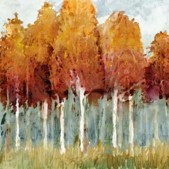 Birch I Poster Print by Edward Selkirk