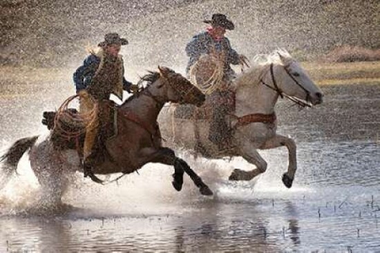 Splash Dance Poster Print by Lisa Dearing - Item # VARPDXD915D