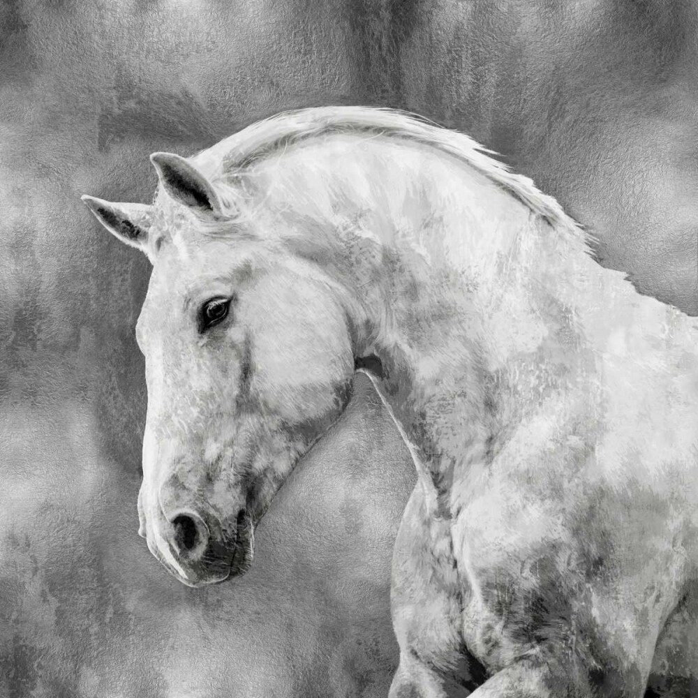White Stallion on Silver Poster Print by Martin Rose # MRR113461