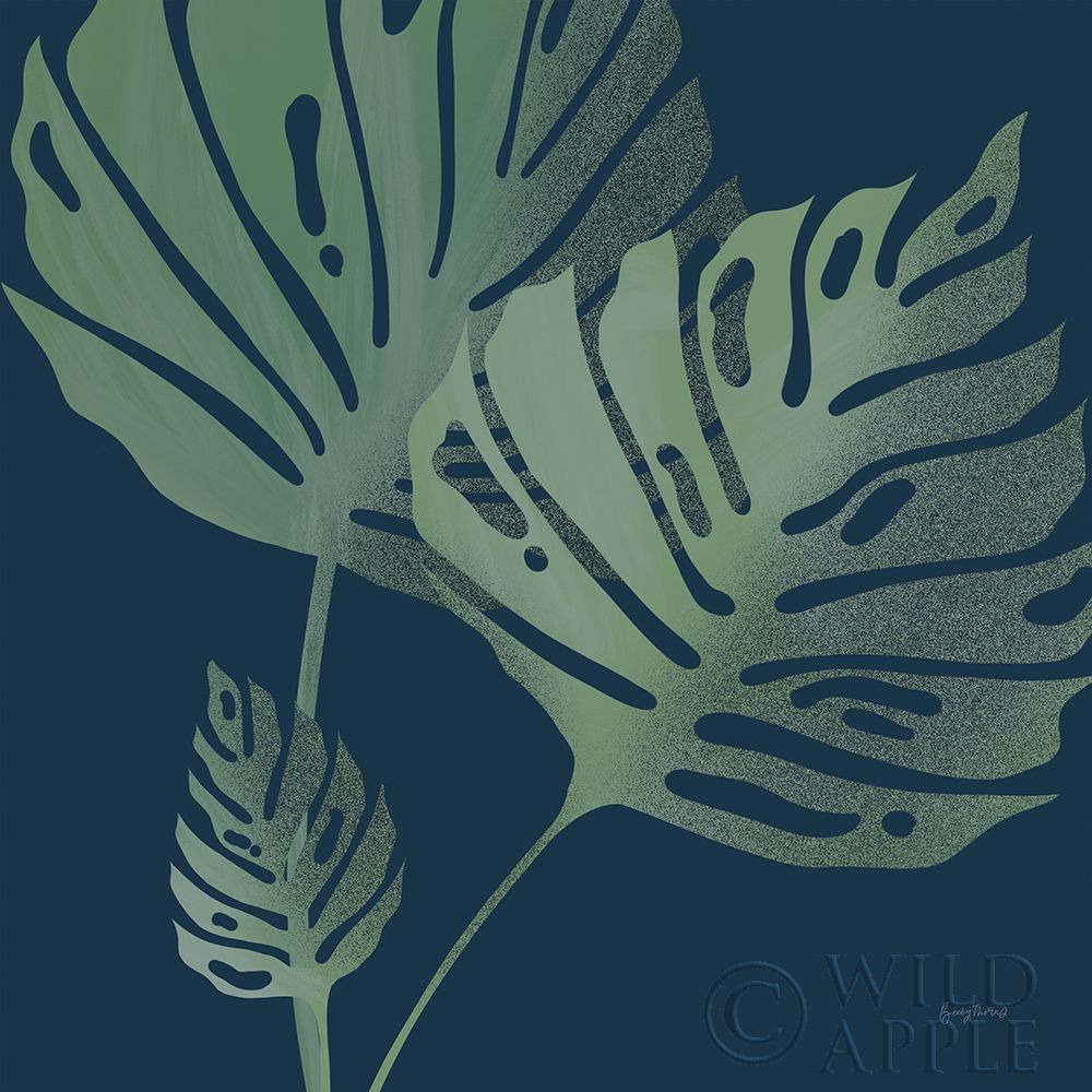 philodendron anderson variegata Philodendron Red Anderson variegated TC Plantlet Grower's Choice *In Stock*