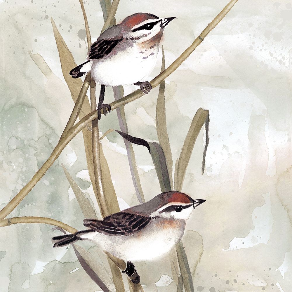 Neutral Spring I Poster Print by Carol Robinson - Item # VARPDX19481