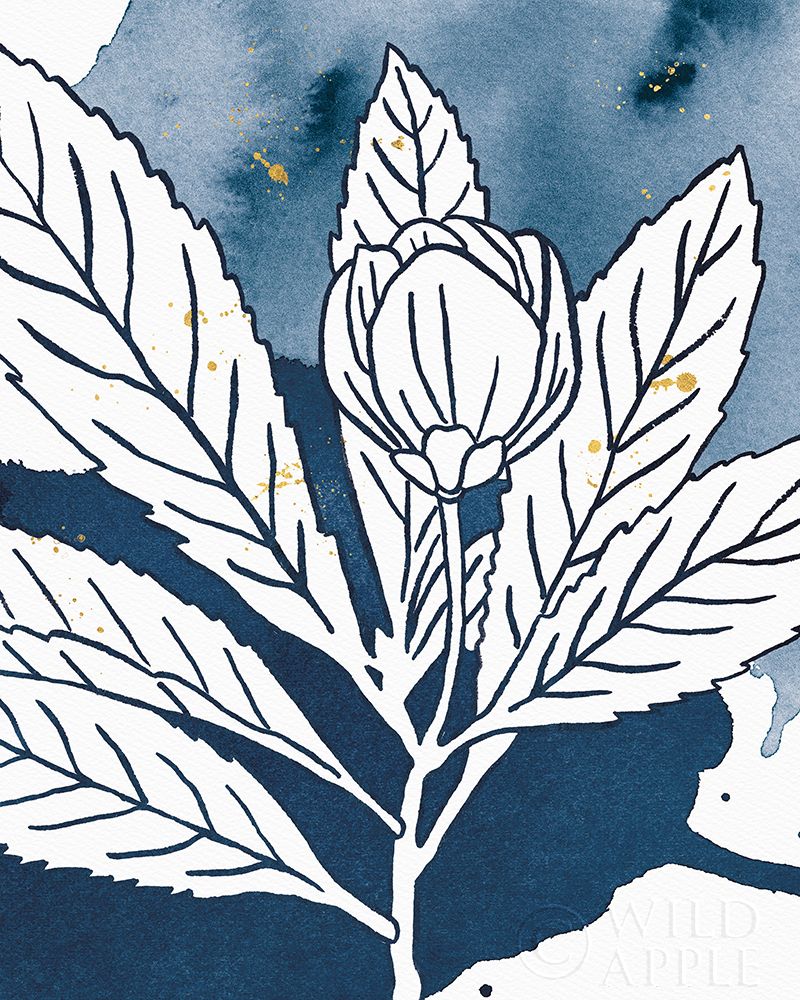 Indigo Blooms IV Poster Print by Wild Apple Portfolio Wild Apple Portfolio # 63544