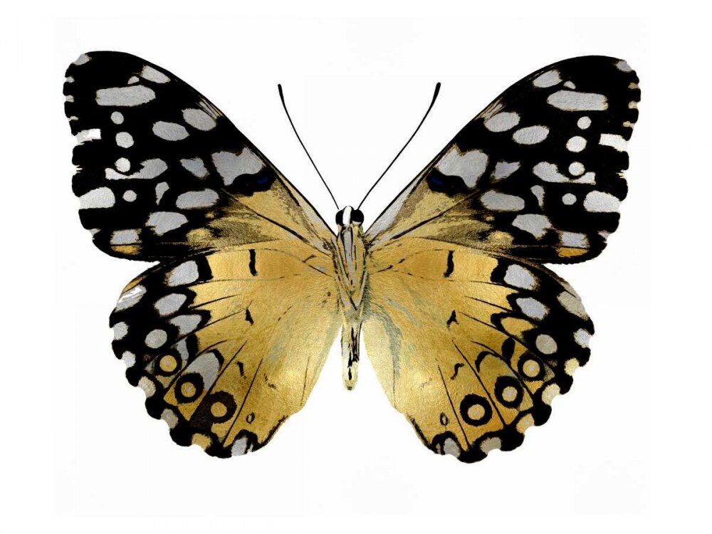 Golden Butterfly IV Poster Print by Julia Bosco # JBC113339