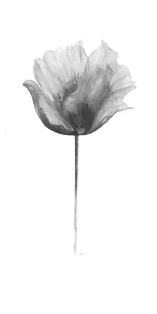 Flower in Gray Panel I Poster Print by Patricia Pinto - Item # VARPDX11010CC