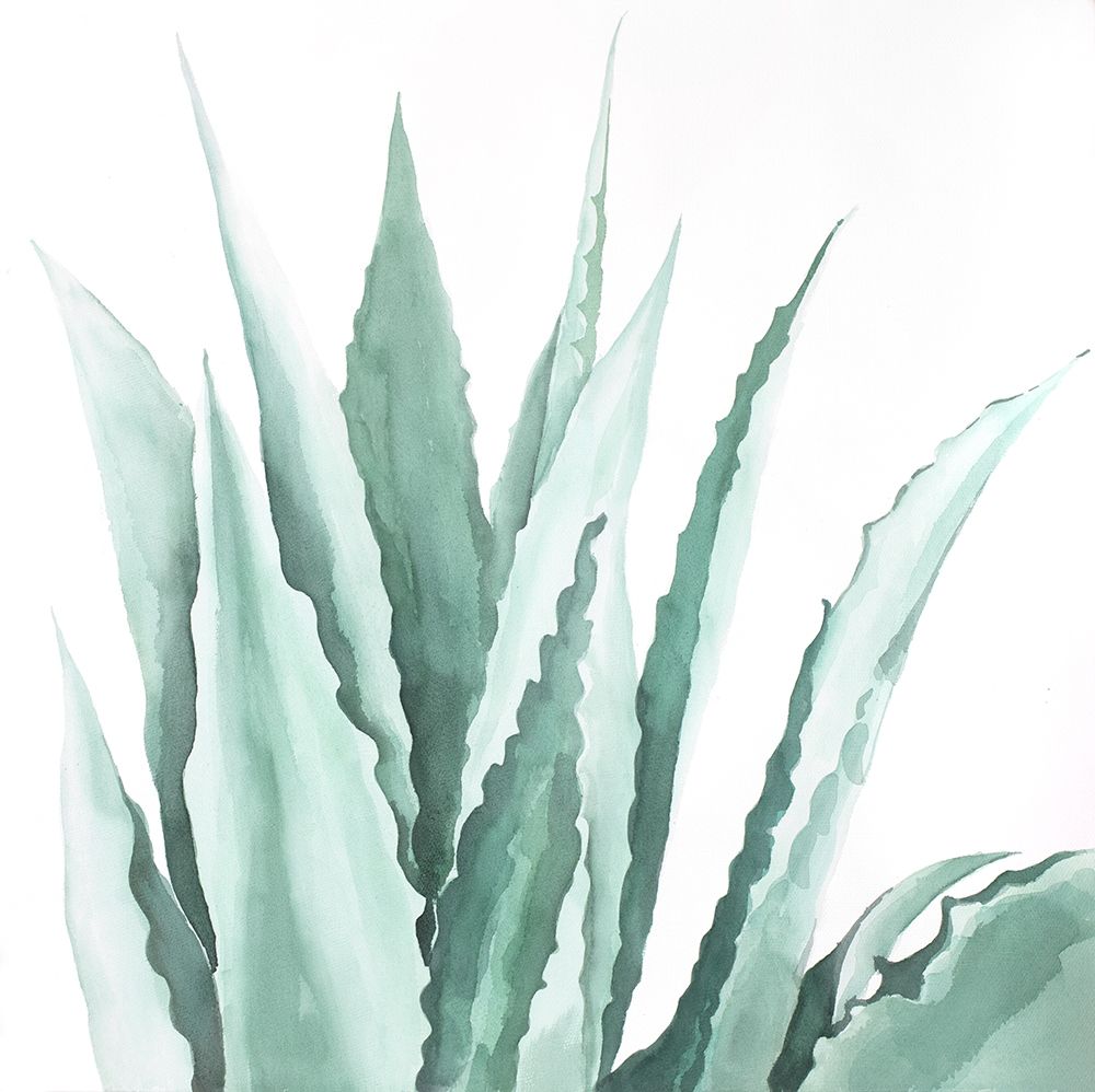 Watercolor Agave Plant Poster Print by Atelier B Art Studio - Item # VARPDXBEGFLO258
