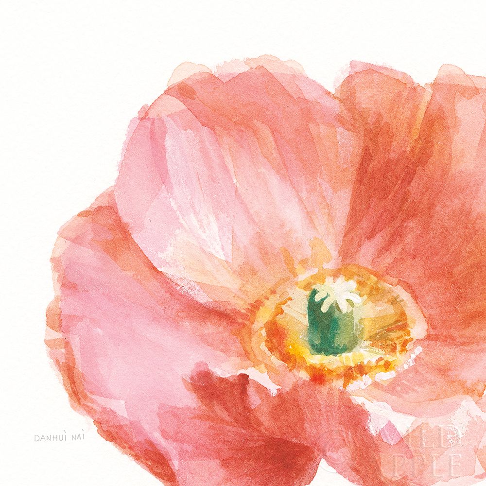 Garden Poppy Flipped On White Crop Poster Print by Danhui Nai - Item # VARPDX37220