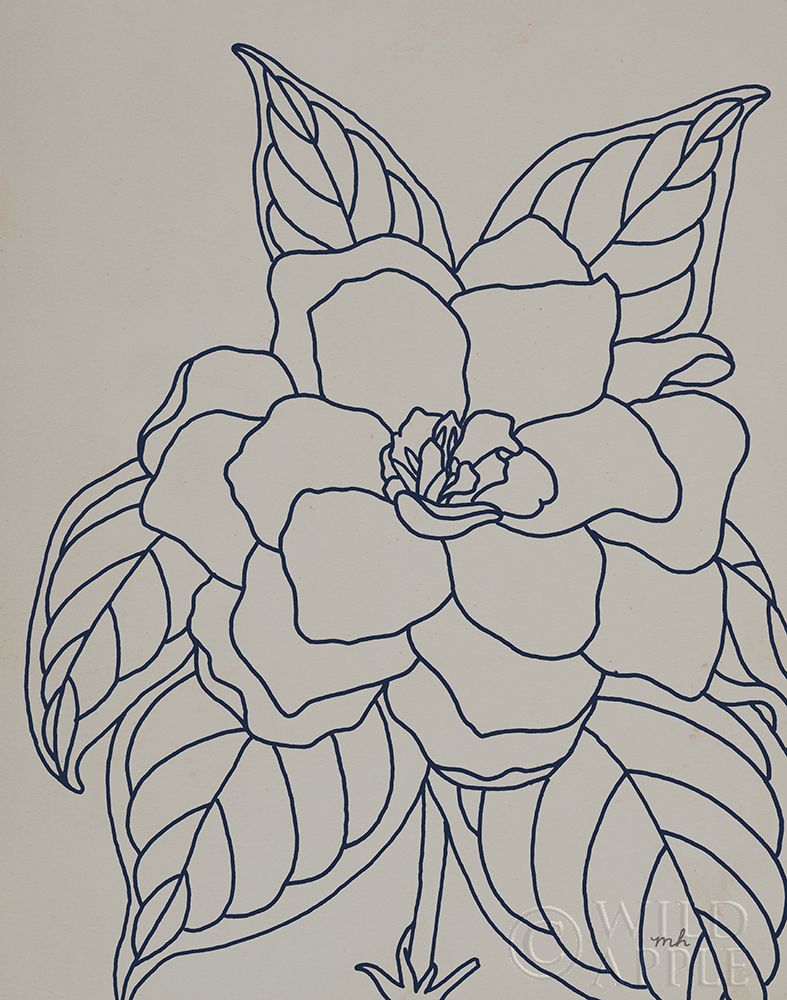 Gardenia Line Drawing Gray Crop Poster Print by Moira Hershey # 56058