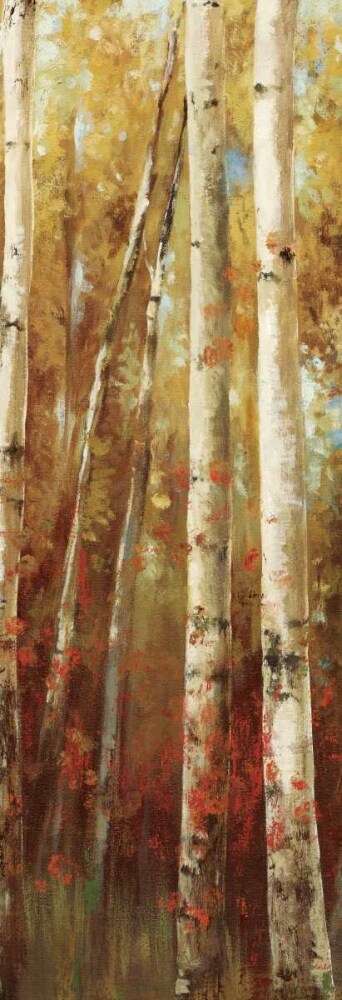 Birch Forest I Poster Print by Ella K - Item # VARPDXKLZ26M