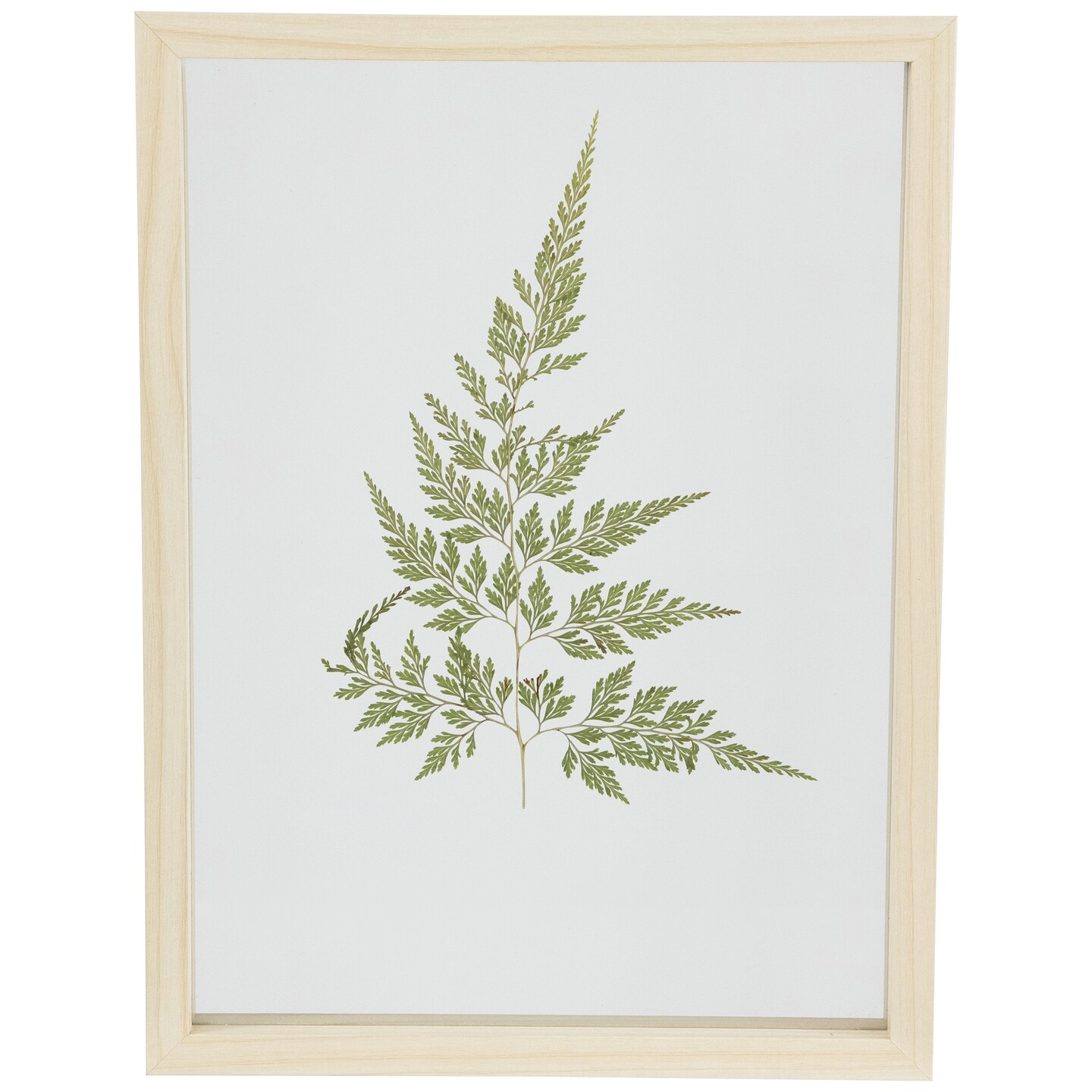 Northlight Artificial Fern Leaf Wooden Framed Wall Art - 11.75"