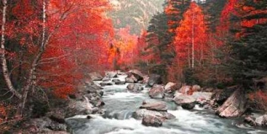 Red river and trees 831 Poster Print by J.A. Palacios - Item # VARPDXJAP028